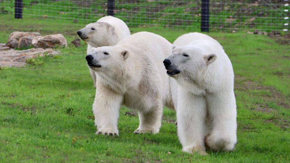 Chic 2 Bed Peak District Cottage Barn Near Alton Towers, Polar Bears, Chatsworth House 리크 외부 사진